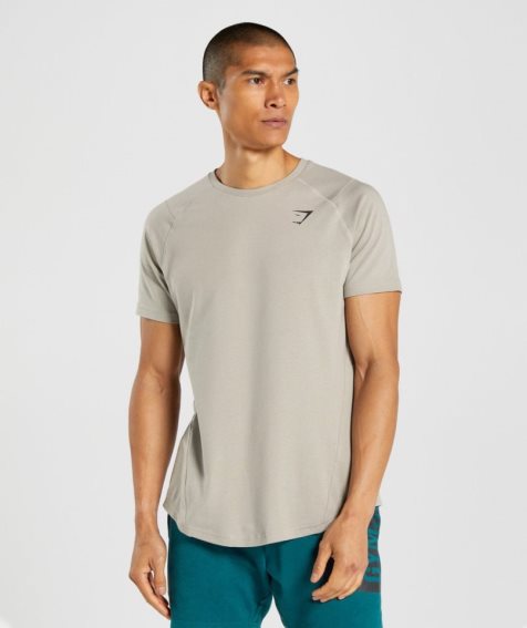 Men's Gymshark Bold T-Shirts Grey | NZ 5PMSOV